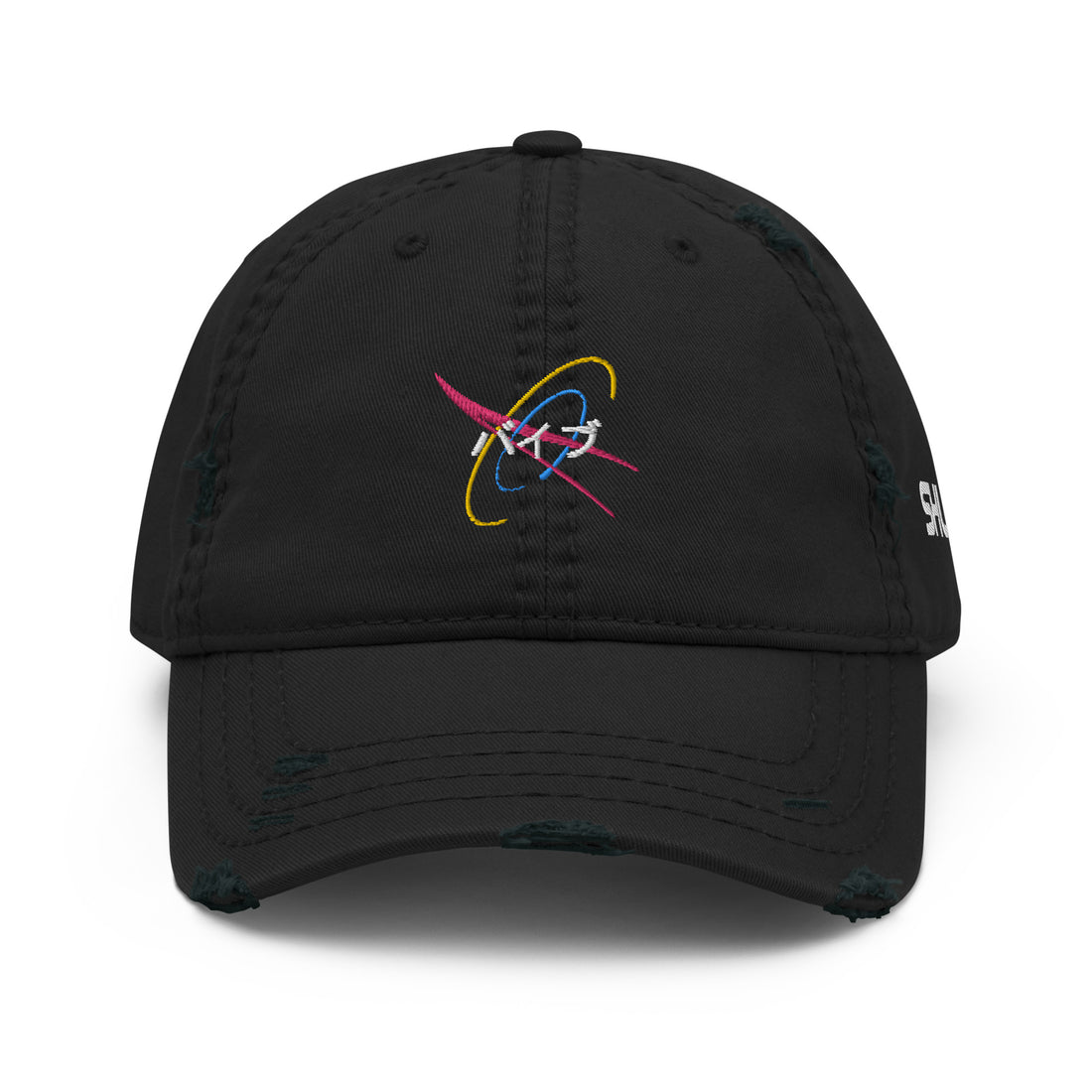 NASA BLACK DAD HAT